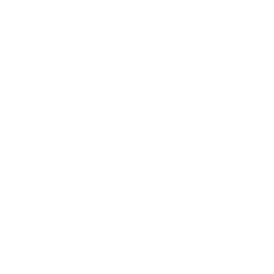 Artist Spotlight